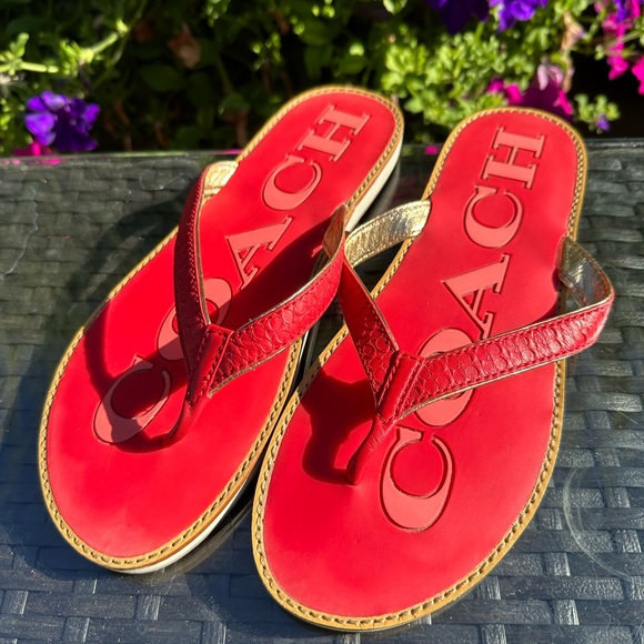 Coach Shoes Coach Dixie Flat Sandals Nwob 8 Poshmark